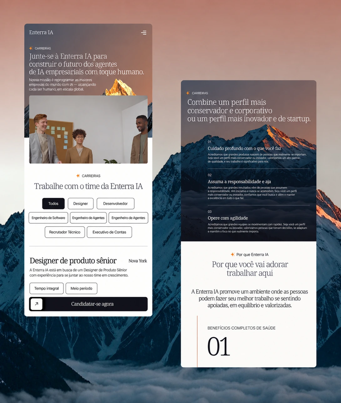 Sistema visual do site da Enterra AI