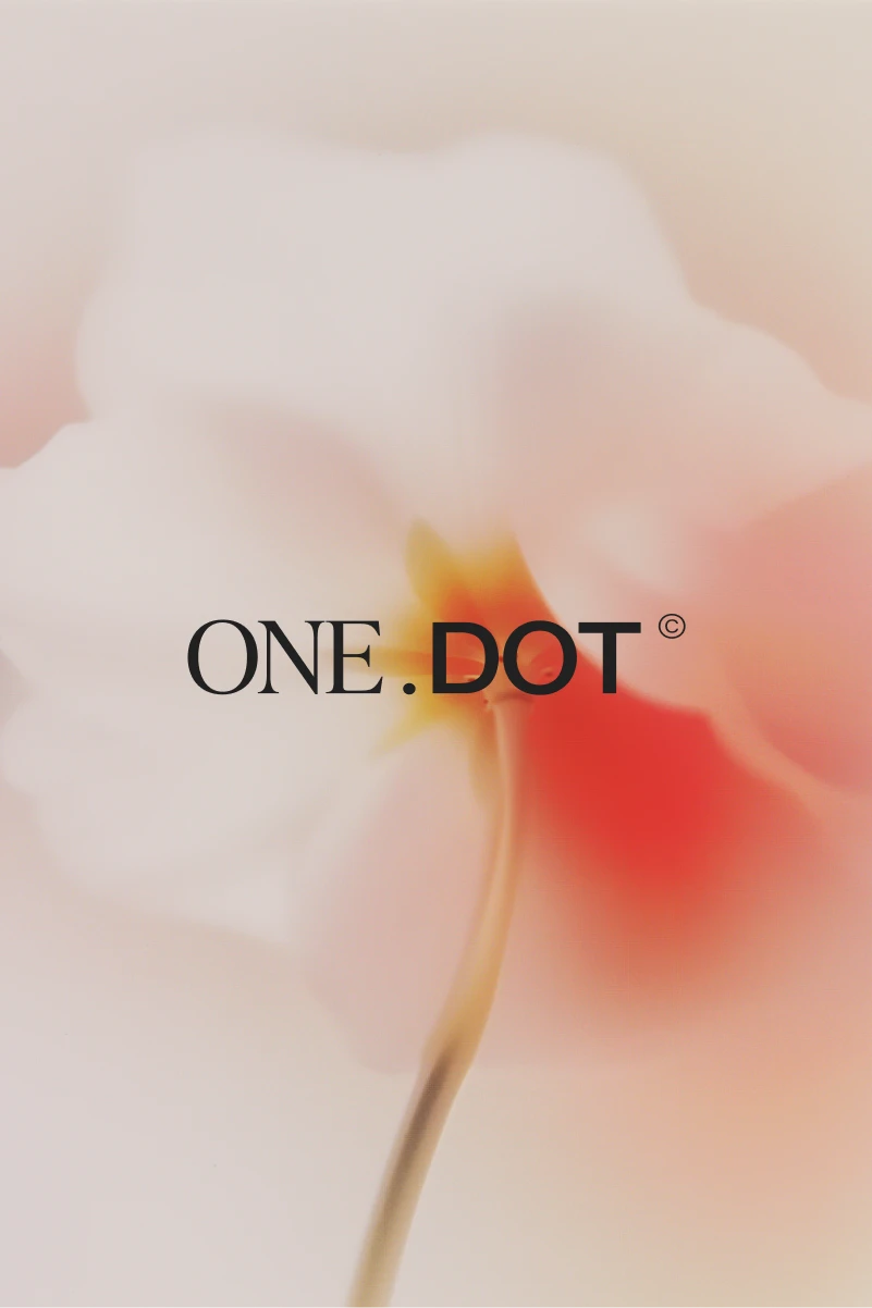 Fluxo móvel do site da One.Dot
